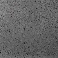 Gardenlux Oud Hollandse Tegels Antraciet 200x100x10 cm - afbeelding 1