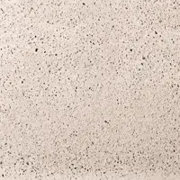 Gardenlux Oud Hollandse Tegels Crème 100x100x5 cm - afbeelding 1