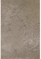Gardenlux Oud Hollandse Tegels Grijs 40x60x5 cm - afbeelding 1