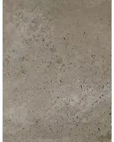 Gardenlux Oud Hollandse Tegels Grijs 40x80x5 cm - afbeelding 1