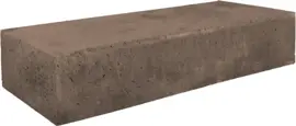 Gardenlux Oud Hollandse Traptrede Massief Taupe 100x37x15 cm - afbeelding 1