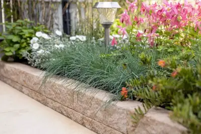 Gardenlux Rockline Walling Small Mosselkalk 40x10x10 cm - afbeelding 2