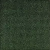 Gardenlux Rubbertegel Groen 50x50x2,5 cm - afbeelding 1