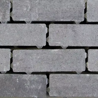 Gardenlux Waterpasserende Eco Bricks Geïmpregneerd Veerse 7x21x8 cm - afbeelding 1