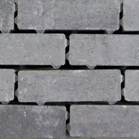 Gardenlux Waterpasserende Eco Bricks Geïmpregneerd Veerse 7x21x8 cm - afbeelding 1