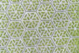 Gardenlux Waterpasserende Eco Tegel Oud Hollands Eco Tegel  37,5x37,5x7 cm - afbeelding 2