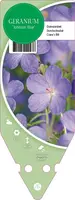 Geranium Johnson Blue (Ooievaarsbek) kopen?