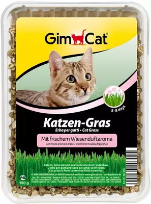 GimCat Katzengras 150 g