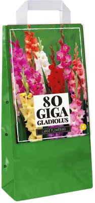 Gladiolus mix 80 stuks - afbeelding 1