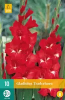 Gladiolus traderhorn 10 stuks