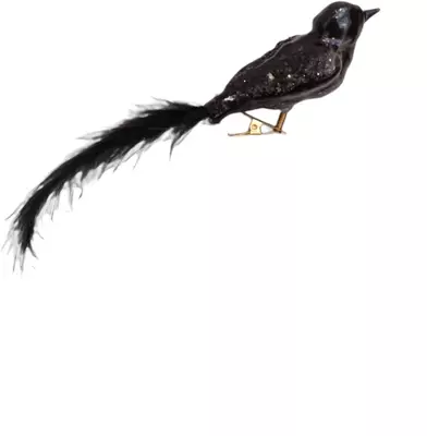 Glazen kerst ornament vogel met veer op clip 16cm zwart 