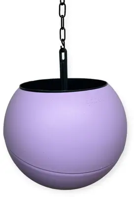 Globee in doos lila - afbeelding 1