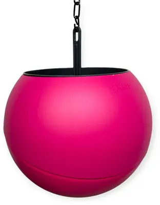 Globee in doos roze - afbeelding 1