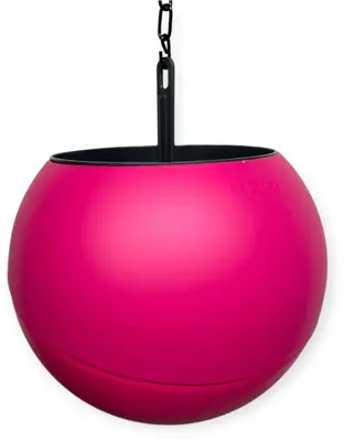 Globee in doos roze - afbeelding 1