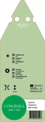 Gypsophila Repens Alba (Kruipend gipskruid) - afbeelding 2