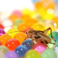 Habistat h2o ballen - afbeelding 3