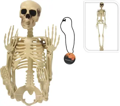 Halloween figuur skelet 90cm wit 