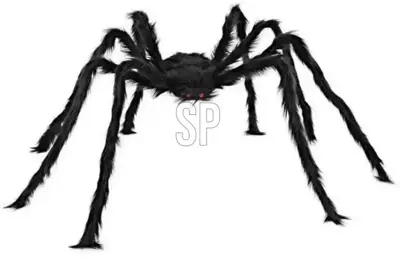 Halloween figuur spin 50cm zwart 