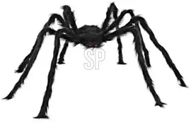 Halloween figuur spin 50cm zwart  kopen?