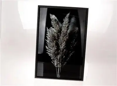 HBX natural living wandornament glas pampas 40x60cm zwart
