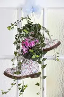 Hedera helix (Klimop) klimplant - afbeelding 42
