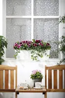 Hedera helix (Klimop) klimplant - afbeelding 49