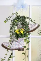 Hedera helix 'Natasja' (Klimop) klimplant - afbeelding 37