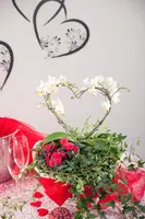 Hedera helix 'Natasja' (Klimop) klimplant - afbeelding 50