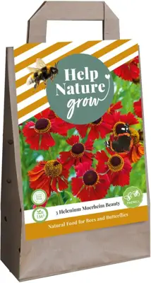 Helenium moerheim beauty 3 stuks - afbeelding 1