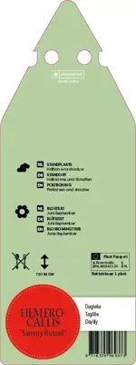 Hemerocallis Hybr. Sammy Russel (Daglelie) - afbeelding 2