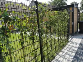 Hillfence dubbelstaafmat 200x183 cm zwart - afbeelding 2