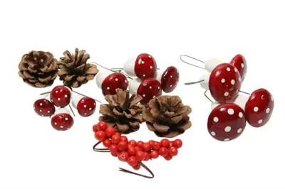 Hobby mushroom+pine+berry o/w