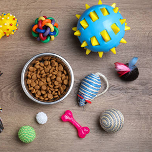 Speeltjes & Training