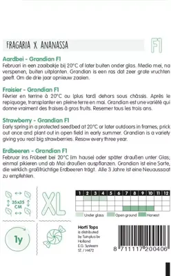 Horti tops zaden aardbei grandian f1 - afbeelding 2