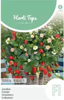 Horti tops zaden Aardbeien Rainbow Treasure F1 kopen?