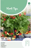 Horti tops zaden Aardbeien Ruby Ann F1 (hangaardbei) - afbeelding 1