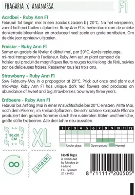 Horti tops zaden Aardbeien Ruby Ann F1 (hangaardbei) - afbeelding 2