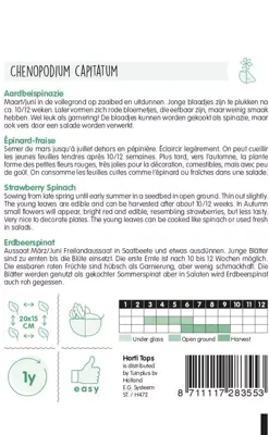 Horti tops zaden aardbeispinazie - aardbei melde - afbeelding 2