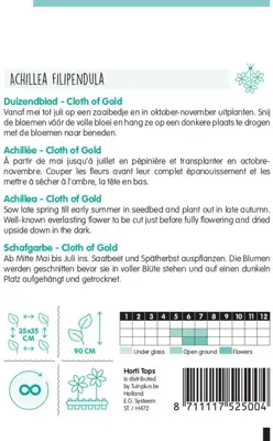 Horti tops zaden achillea, duizendblad cloth of gold - afbeelding 2