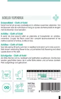 Horti tops zaden achillea, duizendblad cloth of gold - afbeelding 2