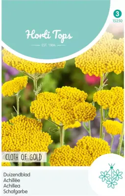 Horti tops zaden achillea, duizendblad cloth of gold - afbeelding 1