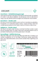 Horti tops zaden Acroclinium dubbelbloemig gemengd - afbeelding 2