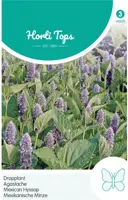 Horti tops zaden Agastache, Dropplant (mexicana) - afbeelding 1