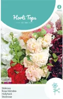 Horti tops zaden althaea (alcea) stokroos chater's dubbelbloemig gemengd - afbeelding 1