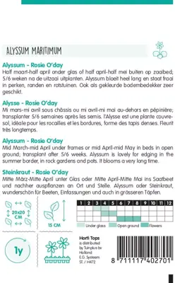 Horti tops zaden Alyssum (lobularia) rosie o'day - afbeelding 2