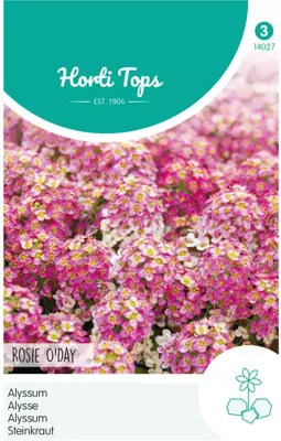 Horti tops zaden Alyssum (lobularia) rosie o'day - afbeelding 1