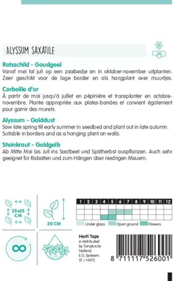 Horti tops zaden Alyssum, Rotsschild goudgeel - afbeelding 2