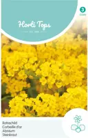 Horti tops zaden Alyssum, Rotsschild goudgeel kopen?