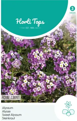 Horti tops zaden alyssum royal carpet - afbeelding 1