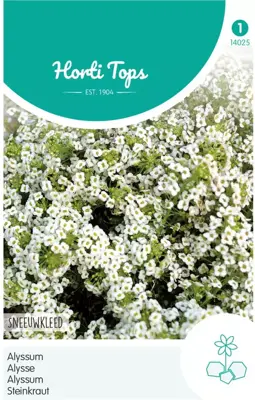 Horti tops zaden Alyssum Sneeuwkleed - afbeelding 1